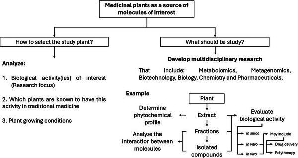 https://cdn.ncbi.nlm.nih.gov/pmc/blobs/93cc/12435438/696656384ff7/CBDV-22-e202500530-g005.jpg
