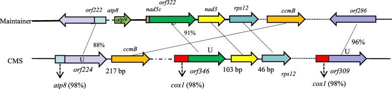 https://cdn.ncbi.nlm.nih.gov/pmc/blobs/93cc/6836354/1afc1f17fed0/12864_2019_6187_Fig6_HTML.jpg