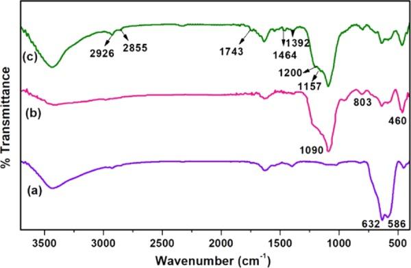 https://cdn.ncbi.nlm.nih.gov/pmc/blobs/93ce/6921616/5589505b0fdf/ao9b03237_0002.jpg
