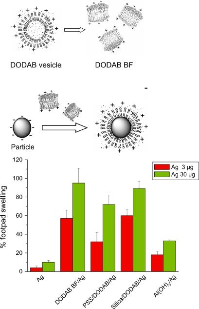 https://cdn.ncbi.nlm.nih.gov/pmc/blobs/93cf/2865020/542674c3fce4/ijn-5-249f3.jpg