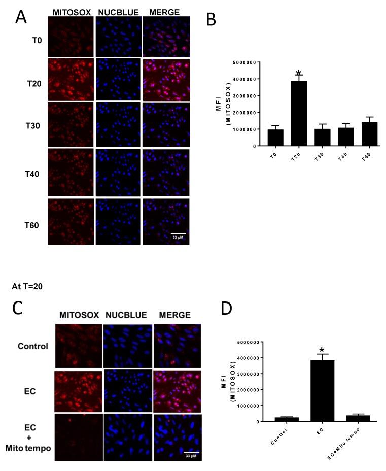 https://cdn.ncbi.nlm.nih.gov/pmc/blobs/93cf/6724019/01cf61f4123a/biomolecules-09-00298-g002.jpg