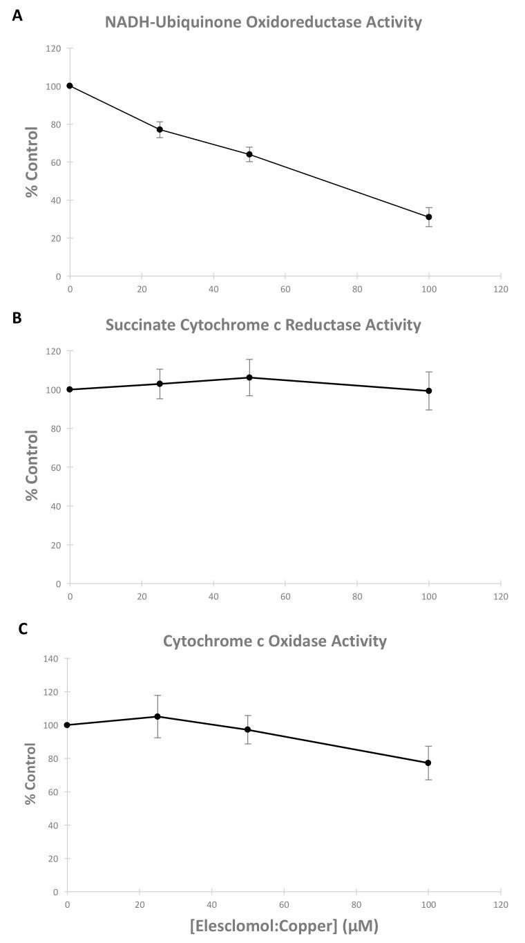 https://cdn.ncbi.nlm.nih.gov/pmc/blobs/93cf/6724019/56a8bfc88985/biomolecules-09-00298-g007.jpg