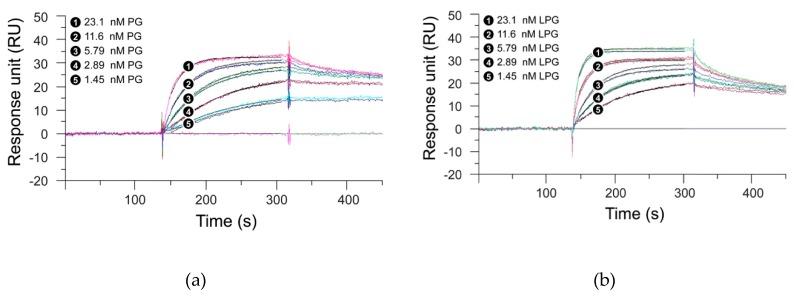 https://cdn.ncbi.nlm.nih.gov/pmc/blobs/93cf/7022404/226b9fc2db4e/biomolecules-10-00004-g003.jpg