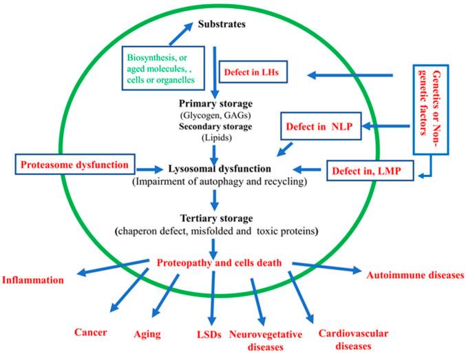https://cdn.ncbi.nlm.nih.gov/pmc/blobs/93d0/11940627/78e8e8e2752c/biomolecules-15-00327-g003.jpg