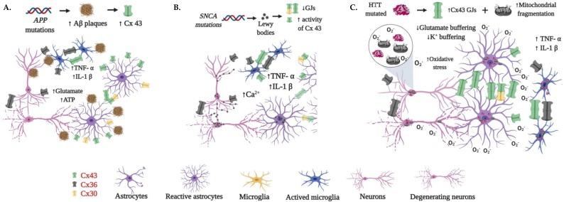 https://cdn.ncbi.nlm.nih.gov/pmc/blobs/93d0/7226843/e43b1b597819/cells-09-00846-g005.jpg