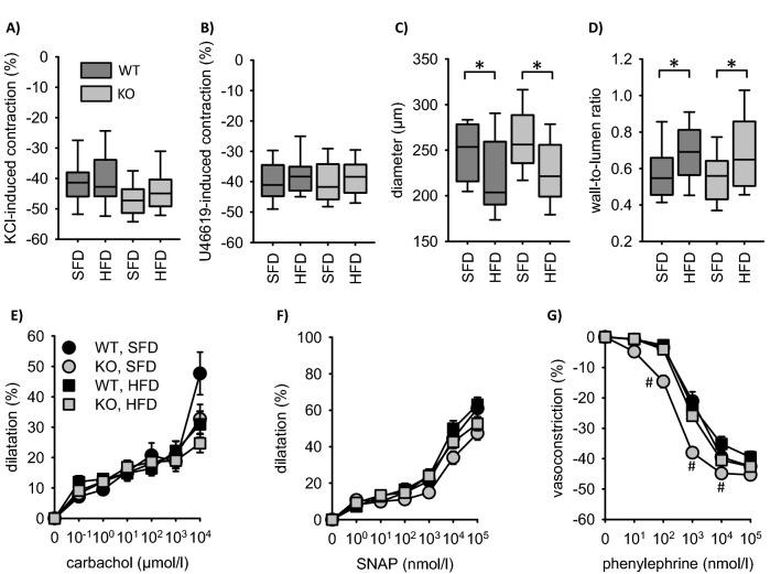 https://cdn.ncbi.nlm.nih.gov/pmc/blobs/93d0/8012653/17da33a6dde4/41598_2021_86587_Fig5_HTML.jpg
