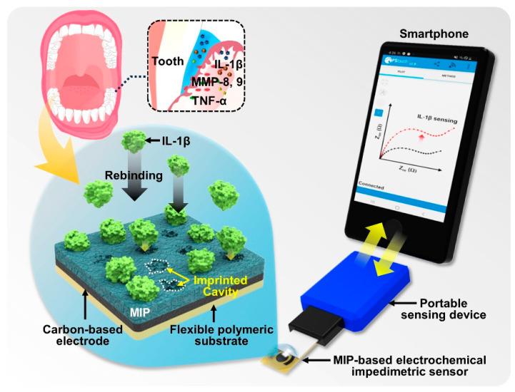https://cdn.ncbi.nlm.nih.gov/pmc/blobs/93d4/10741793/3ec5cfebbb96/biosensors-13-01013-sch001.jpg