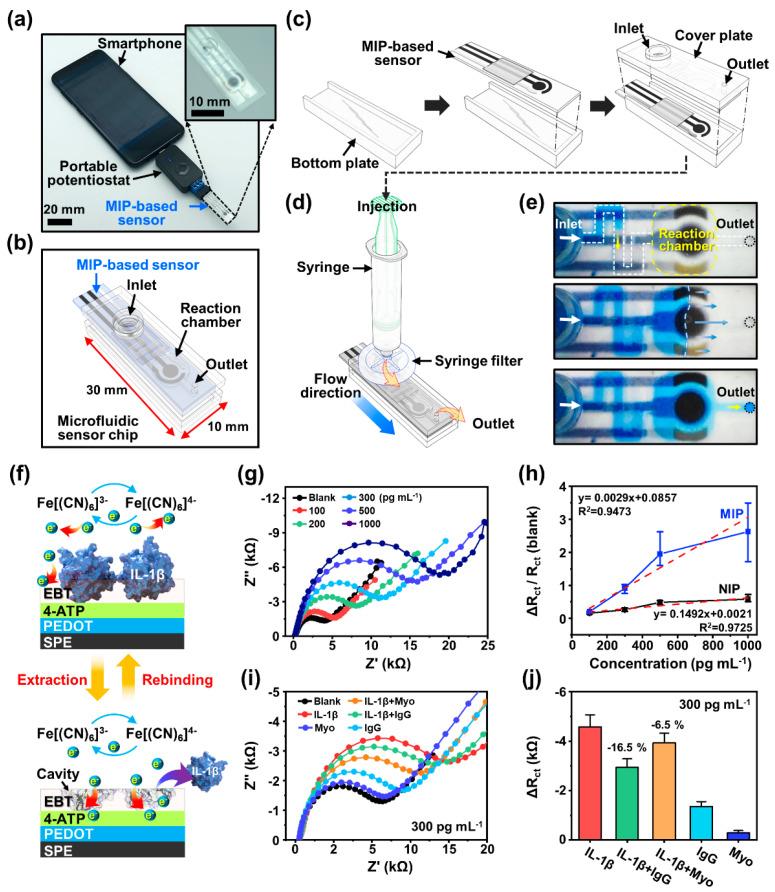 https://cdn.ncbi.nlm.nih.gov/pmc/blobs/93d4/10741793/e5454ab4a3fd/biosensors-13-01013-g004.jpg