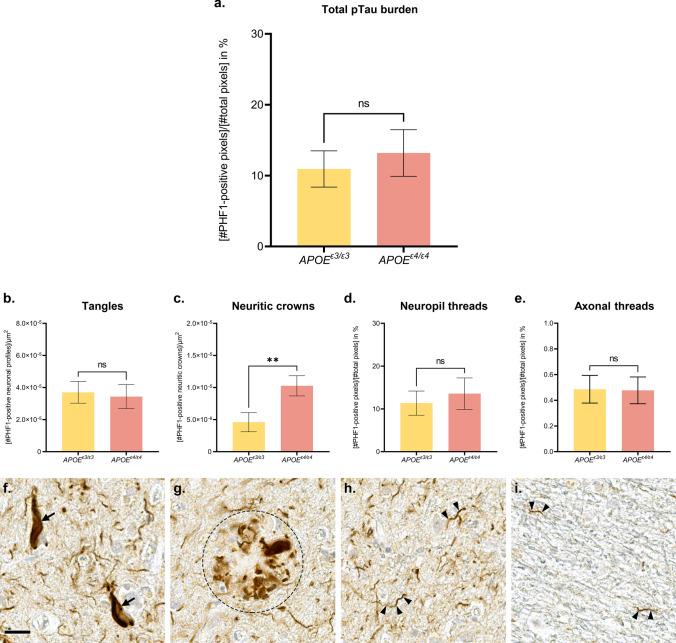https://cdn.ncbi.nlm.nih.gov/pmc/blobs/93d4/11108952/6bc95fb47860/401_2024_2744_Fig5_HTML.jpg
