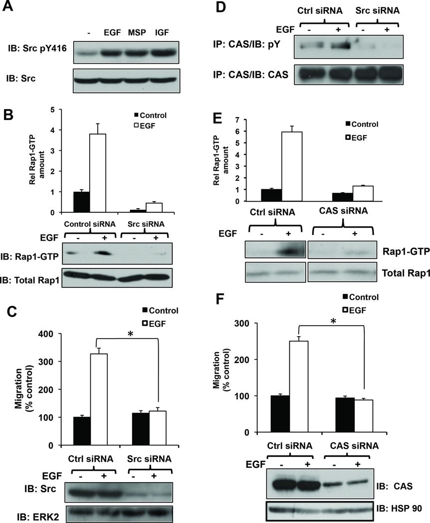 https://cdn.ncbi.nlm.nih.gov/pmc/blobs/93d5/3711644/e086fae52fcf/nihms321956f2.jpg