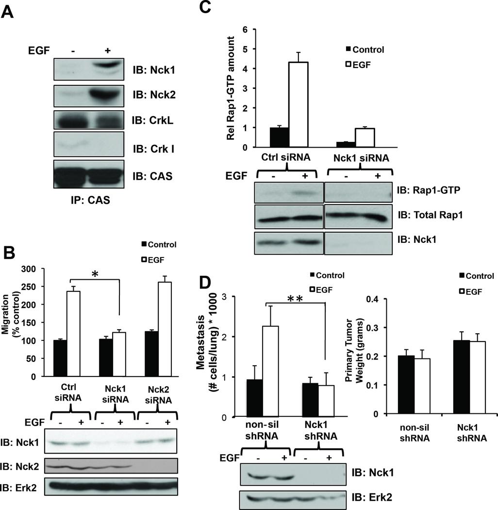 https://cdn.ncbi.nlm.nih.gov/pmc/blobs/93d5/3711644/e99a8cabda89/nihms321956f3.jpg