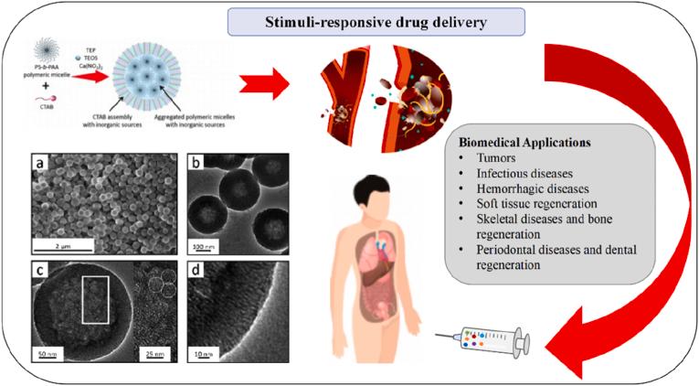 https://cdn.ncbi.nlm.nih.gov/pmc/blobs/93d6/10821497/44279692e20f/gr7.jpg