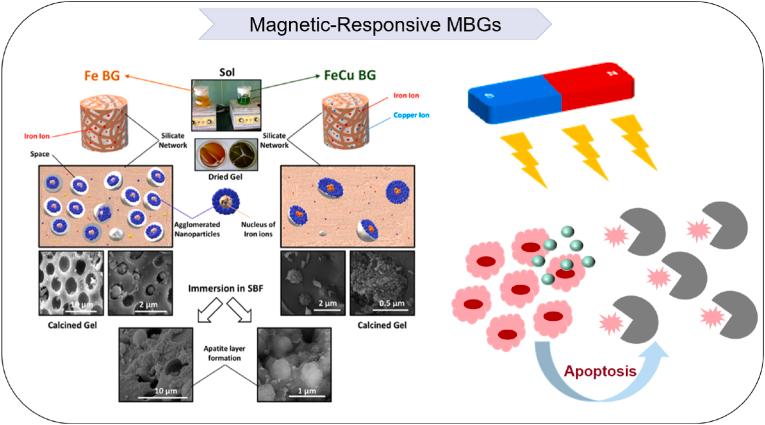 https://cdn.ncbi.nlm.nih.gov/pmc/blobs/93d6/10821497/fa66bb05deba/gr9.jpg