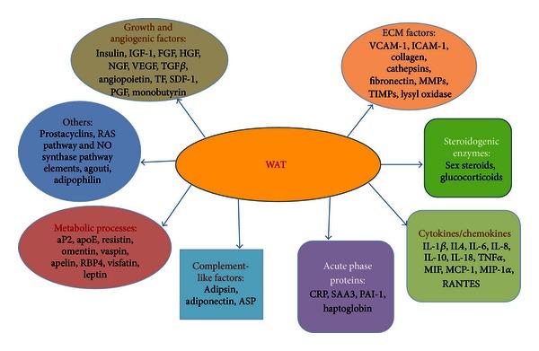 https://cdn.ncbi.nlm.nih.gov/pmc/blobs/93d7/3683483/14561bc0b10a/ISRN.ONCOLOGY2013-697521.003.jpg