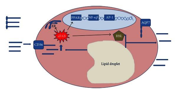 https://cdn.ncbi.nlm.nih.gov/pmc/blobs/93d7/3683483/bcc08fa6533e/ISRN.ONCOLOGY2013-697521.002.jpg