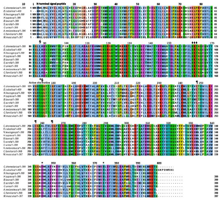 https://cdn.ncbi.nlm.nih.gov/pmc/blobs/93d7/6268779/47fa4adc77bb/molecules-17-10399-g003.jpg