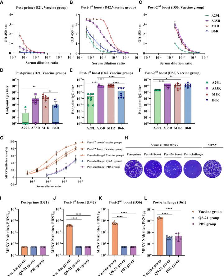 https://cdn.ncbi.nlm.nih.gov/pmc/blobs/93d8/10331816/18e427022cda/fimmu-14-1203410-g002.jpg