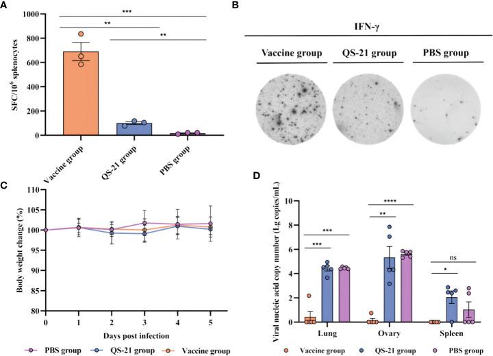 https://cdn.ncbi.nlm.nih.gov/pmc/blobs/93d8/10331816/dfef05df8890/fimmu-14-1203410-g003.jpg