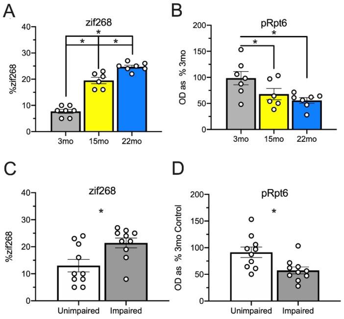 https://cdn.ncbi.nlm.nih.gov/pmc/blobs/93d8/7432048/1f5c34874597/ijms-21-05352-g007.jpg