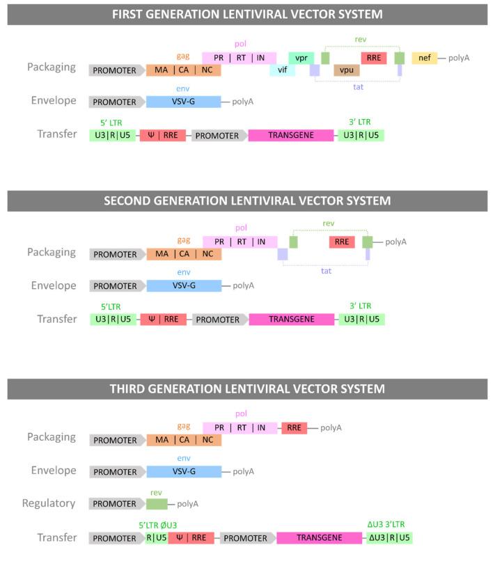 https://cdn.ncbi.nlm.nih.gov/pmc/blobs/93d8/8402758/949a846f57e5/viruses-13-01528-g001a.jpg