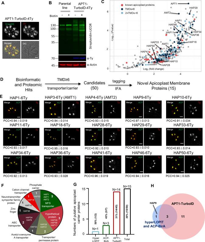 https://cdn.ncbi.nlm.nih.gov/pmc/blobs/93d9/10950331/766314bfb400/elife-88866-fig1.jpg