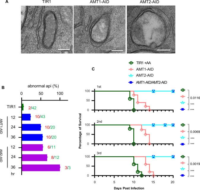https://cdn.ncbi.nlm.nih.gov/pmc/blobs/93d9/10950331/a62dd59ae9c2/elife-88866-fig6.jpg