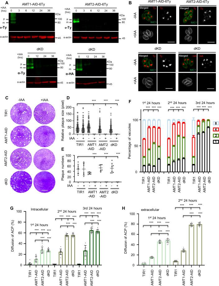 https://cdn.ncbi.nlm.nih.gov/pmc/blobs/93d9/10950331/ee73c13fec06/elife-88866-fig3.jpg