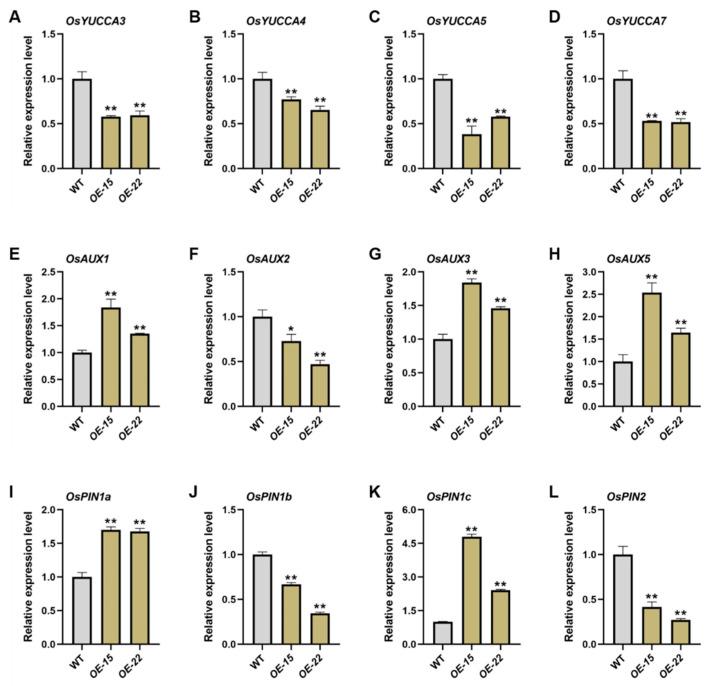 https://cdn.ncbi.nlm.nih.gov/pmc/blobs/93d9/12157236/4c82eb1355c8/plants-14-01627-g004.jpg