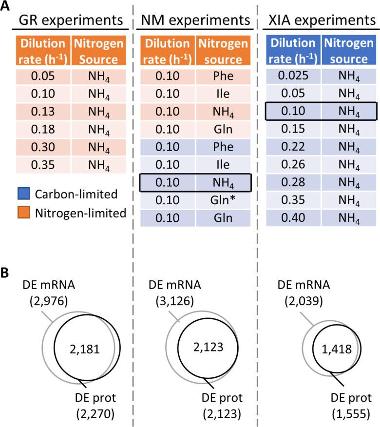 https://cdn.ncbi.nlm.nih.gov/pmc/blobs/93d9/8016476/74e8fee86d32/elife-65722-fig1.jpg