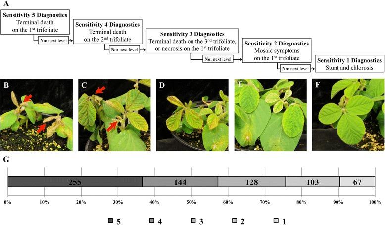 https://cdn.ncbi.nlm.nih.gov/pmc/blobs/93db/4770782/b0acf7239172/12864_2016_2487_Fig1_HTML.jpg