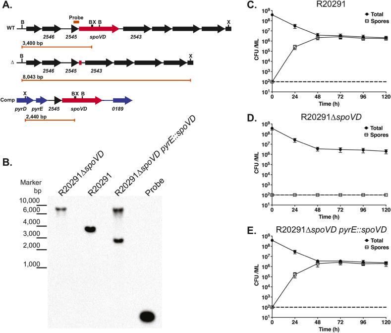 https://cdn.ncbi.nlm.nih.gov/pmc/blobs/93dc/8417463/cab2f83a4a96/gr1.jpg