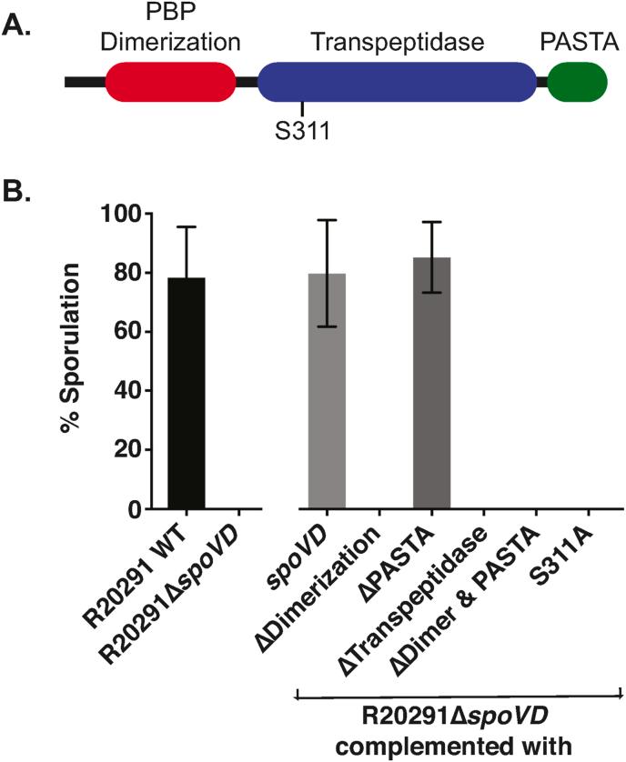 https://cdn.ncbi.nlm.nih.gov/pmc/blobs/93dc/8417463/d339eb493f6d/gr3.jpg