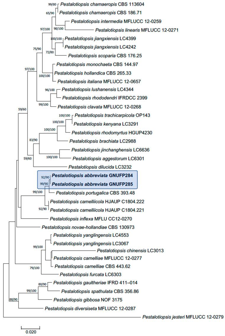 https://cdn.ncbi.nlm.nih.gov/pmc/blobs/93dd/12387949/f6c6ab4727d0/jof-11-00553-g005.jpg