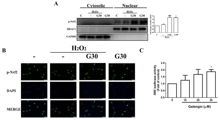 https://cdn.ncbi.nlm.nih.gov/pmc/blobs/93dd/8836071/5b9409234bfb/ijms-23-01387-g003.jpg