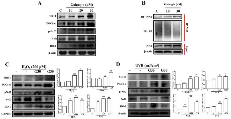 https://cdn.ncbi.nlm.nih.gov/pmc/blobs/93dd/8836071/f72048f7f0a3/ijms-23-01387-g002.jpg
