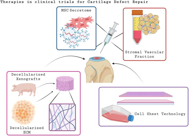 https://cdn.ncbi.nlm.nih.gov/pmc/blobs/93df/10898818/a6b0df487ec0/KOGG_A_2278235_F0002_OC.jpg