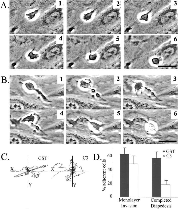 https://cdn.ncbi.nlm.nih.gov/pmc/blobs/93df/2196864/aa760cfab154/0103048f5.jpg