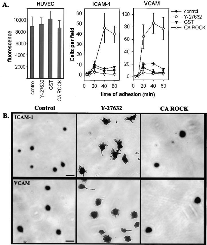 https://cdn.ncbi.nlm.nih.gov/pmc/blobs/93df/2196864/ba5efdcbcf53/0103048f9.jpg