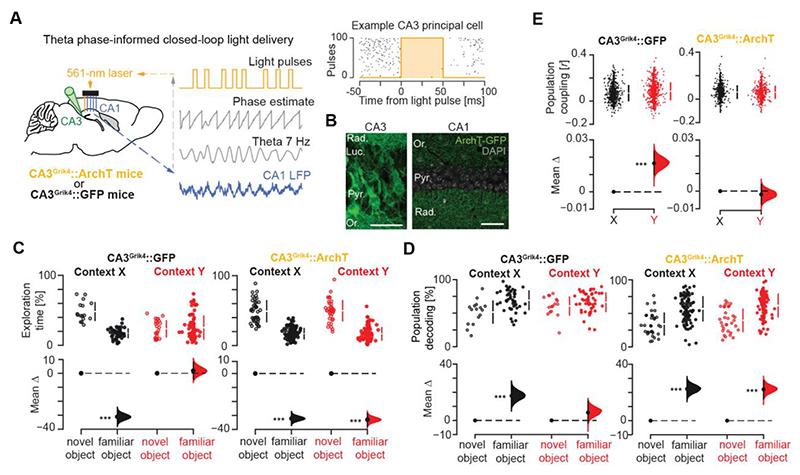 https://cdn.ncbi.nlm.nih.gov/pmc/blobs/93df/7616439/19bc7ebd91eb/EMS198384-f003.jpg