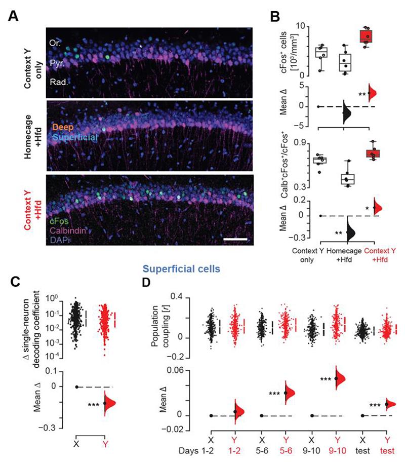 https://cdn.ncbi.nlm.nih.gov/pmc/blobs/93df/7616439/2ad81c60b101/EMS198384-f004.jpg