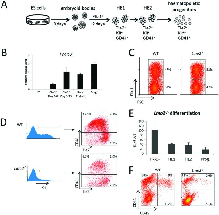 https://cdn.ncbi.nlm.nih.gov/pmc/blobs/93e1/5622341/6c20b1df1569/gkx573fig1.jpg