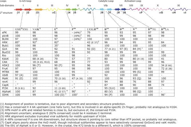 https://cdn.ncbi.nlm.nih.gov/pmc/blobs/93e2/1821047/053e8285f333/pbio.0050017.g003.jpg