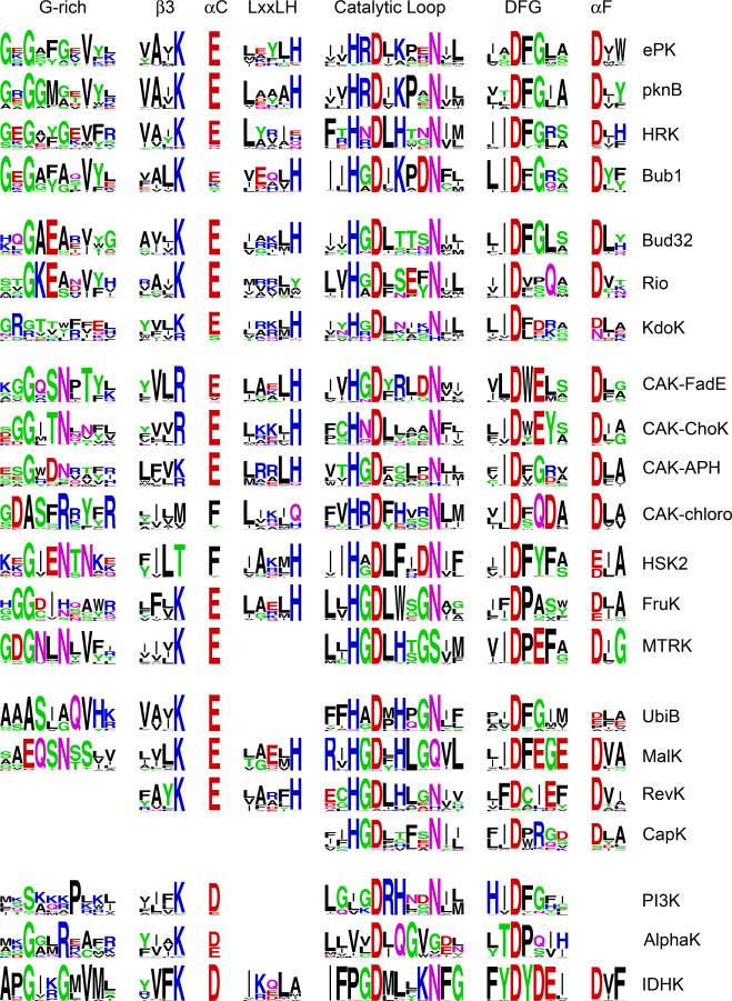 https://cdn.ncbi.nlm.nih.gov/pmc/blobs/93e2/1821047/dfd5fca74e09/pbio.0050017.g004.jpg