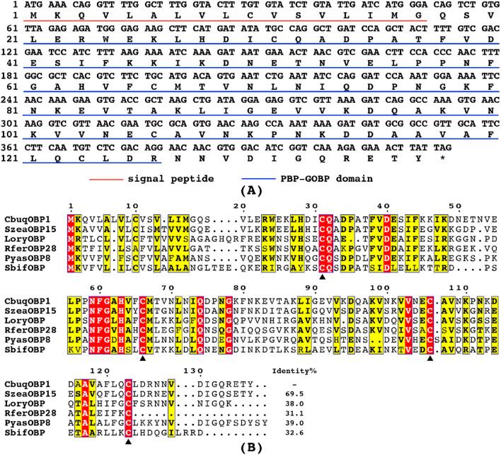 https://cdn.ncbi.nlm.nih.gov/pmc/blobs/93e6/12061717/55fb226ca239/fphys-16-1586738-g001.jpg