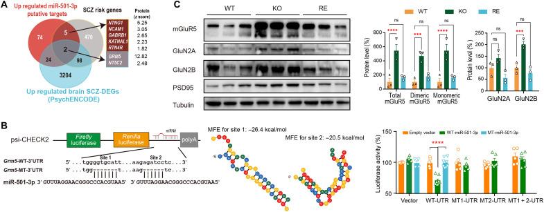 https://cdn.ncbi.nlm.nih.gov/pmc/blobs/93e6/9390987/337bd8445200/sciadv.abn7357-f8.jpg