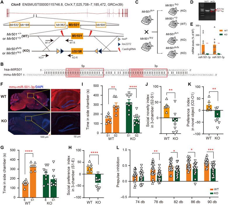 https://cdn.ncbi.nlm.nih.gov/pmc/blobs/93e6/9390987/462534f56aae/sciadv.abn7357-f2.jpg