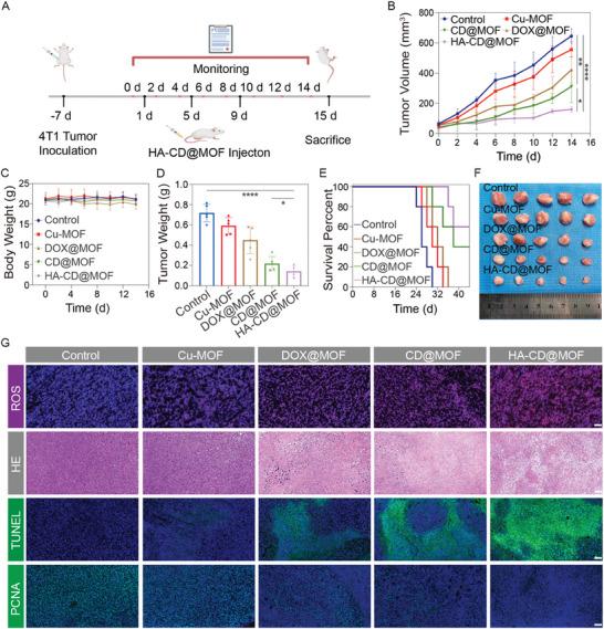 https://cdn.ncbi.nlm.nih.gov/pmc/blobs/93e8/11022715/0a52d38c7798/ADVS-11-2306031-g006.jpg