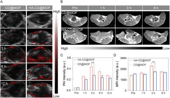 https://cdn.ncbi.nlm.nih.gov/pmc/blobs/93e8/11022715/c2ca50789610/ADVS-11-2306031-g010.jpg