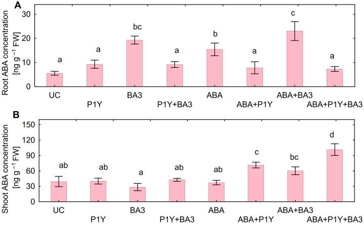 https://cdn.ncbi.nlm.nih.gov/pmc/blobs/93e8/12349427/548460368bfa/plants-14-02442-g007.jpg