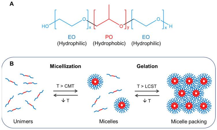 https://cdn.ncbi.nlm.nih.gov/pmc/blobs/93ef/10379388/096be347ef35/gels-09-00593-g001.jpg